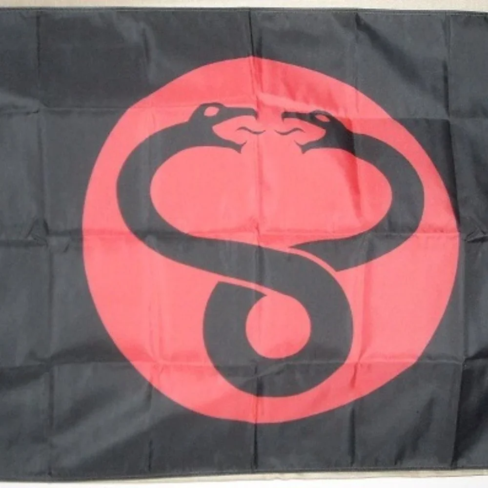 Mumm-Ra Thundercats 3'x5' Black horizontal Flag Banner Silverhawks Plun-Darr